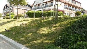 A hotel with a grassy slope, a sidewalk, and a row of trees.