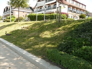 Property grounds - Free to the sun and large roof terrace (Malente)