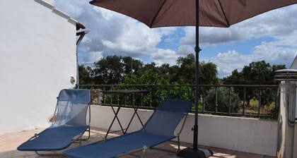 Casa da Aldeia in Alto Alentejo