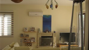 Een woonkamer met een open haard, een televisie en een wandairconditioning.
