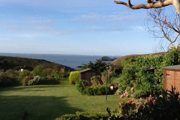 The garden at breakfast time