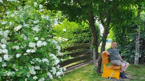 A person sitting on a bench in a park with trees and grass.