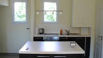 Fridge, oven, stovetop, dishwasher