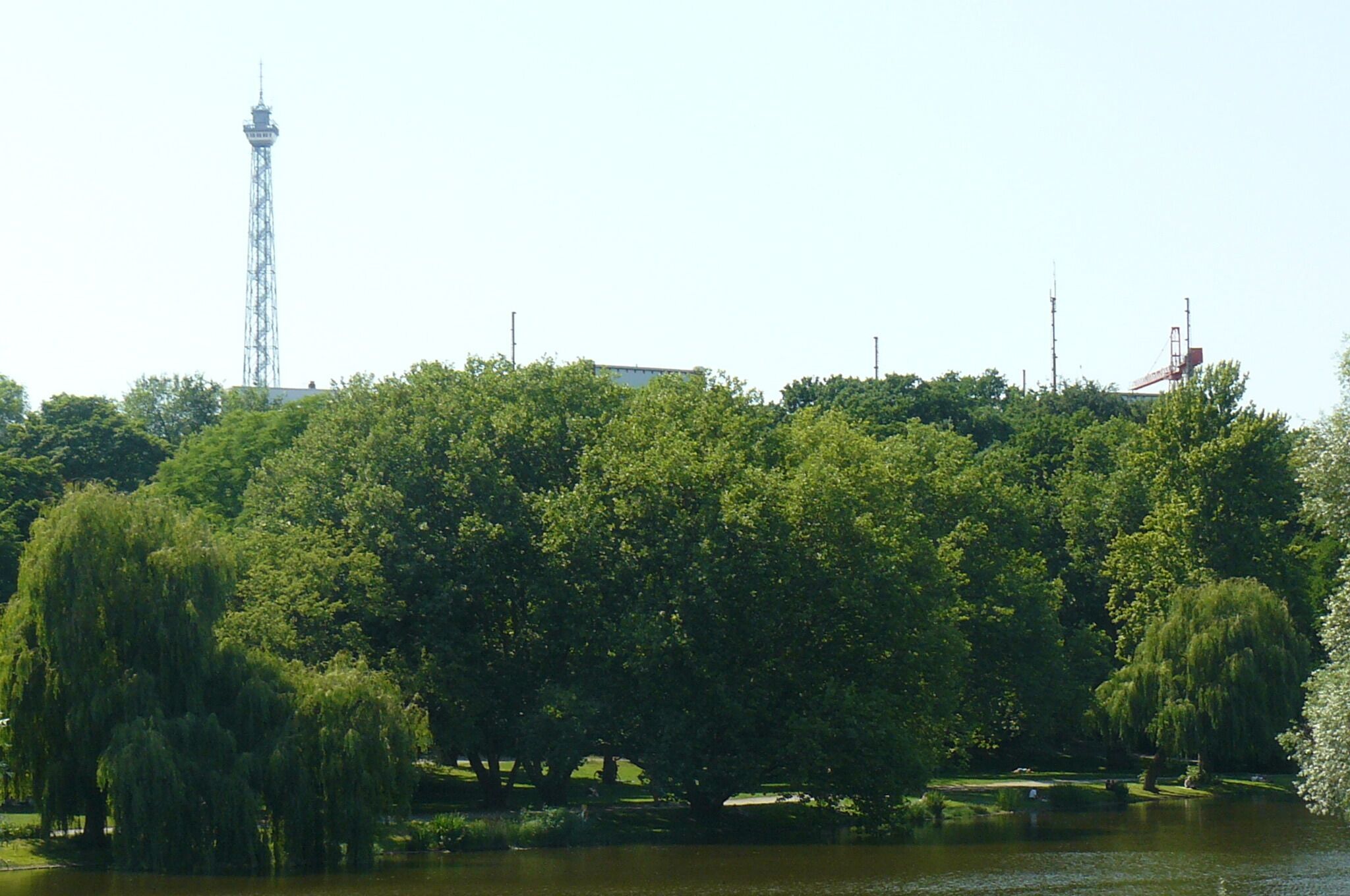 Ein Park mit üppigen, grünen Bäumen und einem Turm im Hintergrund.