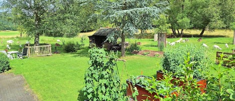 Parco della struttura