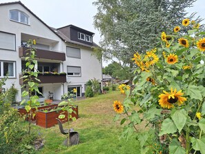 Udendørsområde