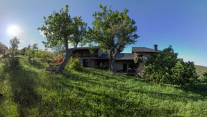 Una casa de pedra amb teulada inclinada, envoltada de vegetació abundant i arbres.