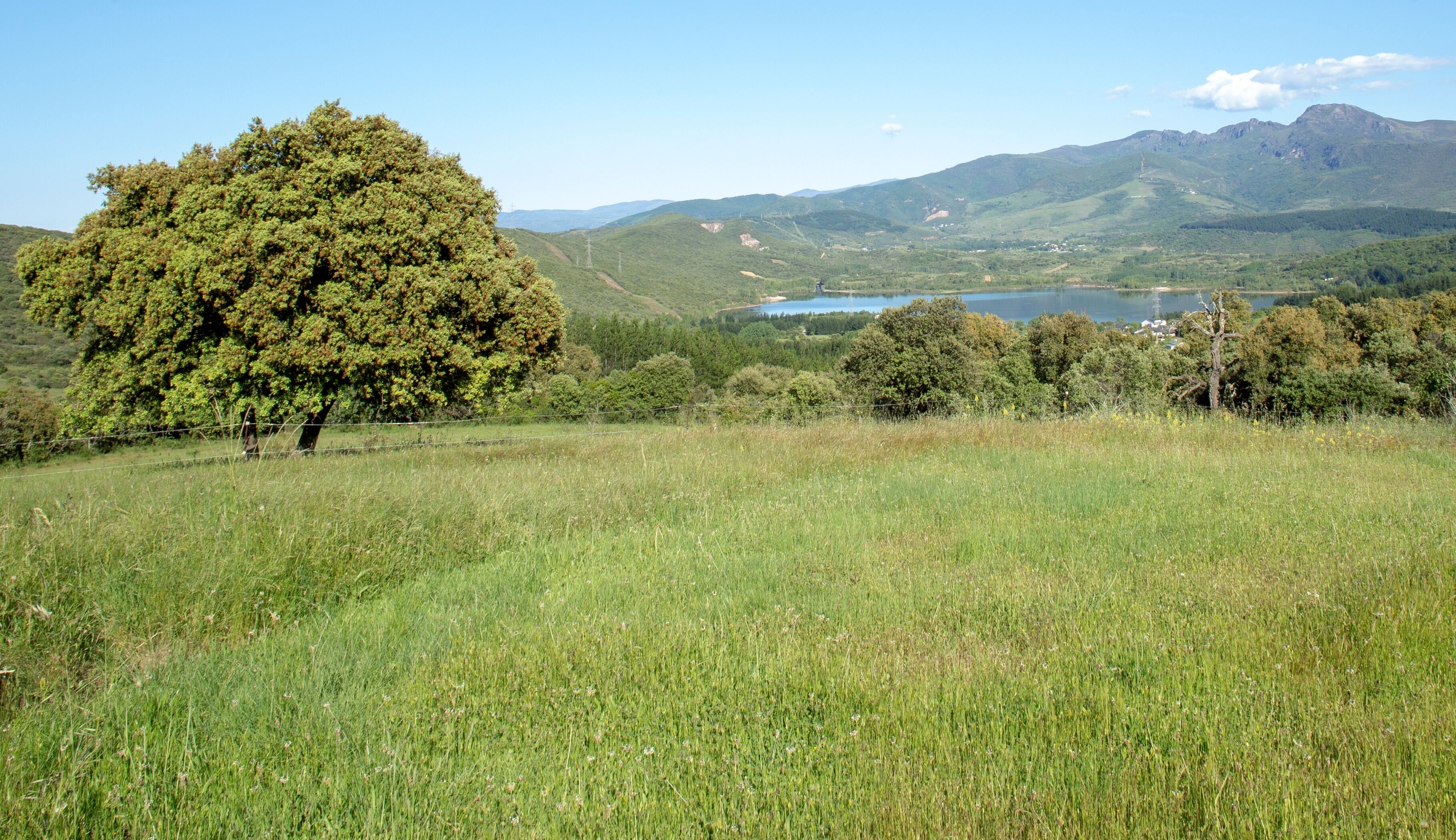 Housing for tourist use N1