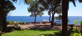 EXTRA SITUATION AT THE EDGE OF THE SEA!