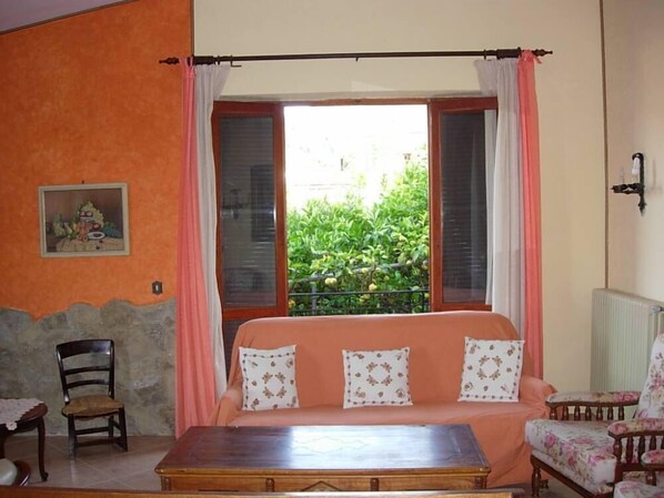 TV, fireplace, DVD player, books