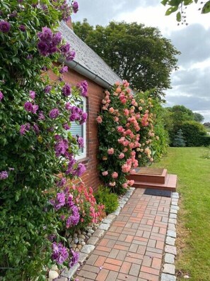 Property grounds - Vacation apartment in the Rosenhaus am See (Dagebüll)