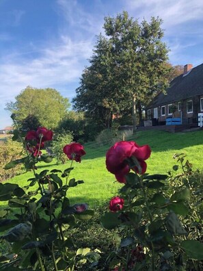 Property grounds - Vacation apartment in the Rosenhaus am See (Dagebüll)