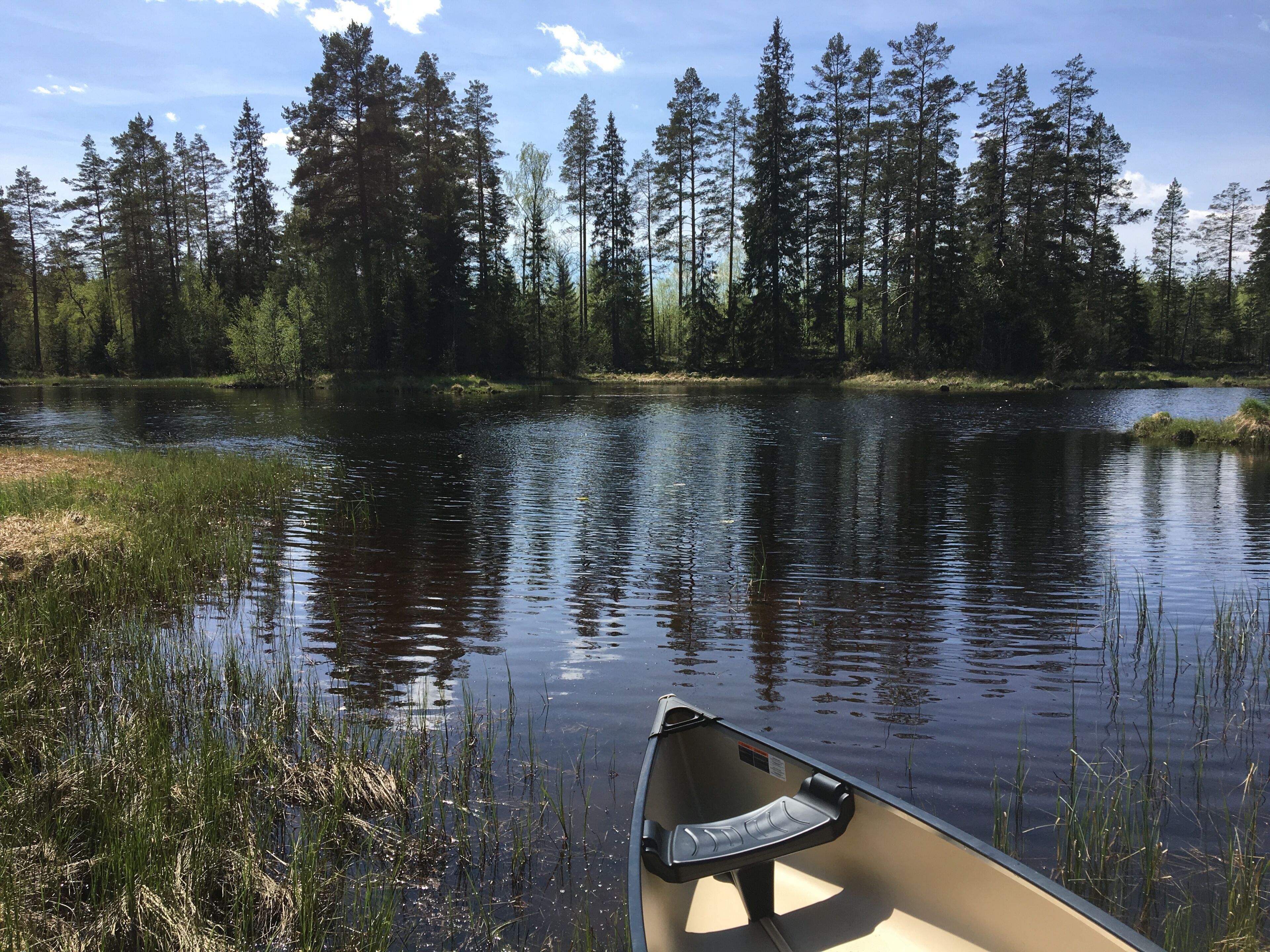 A canoe on a calm lake surrounded by tall trees.