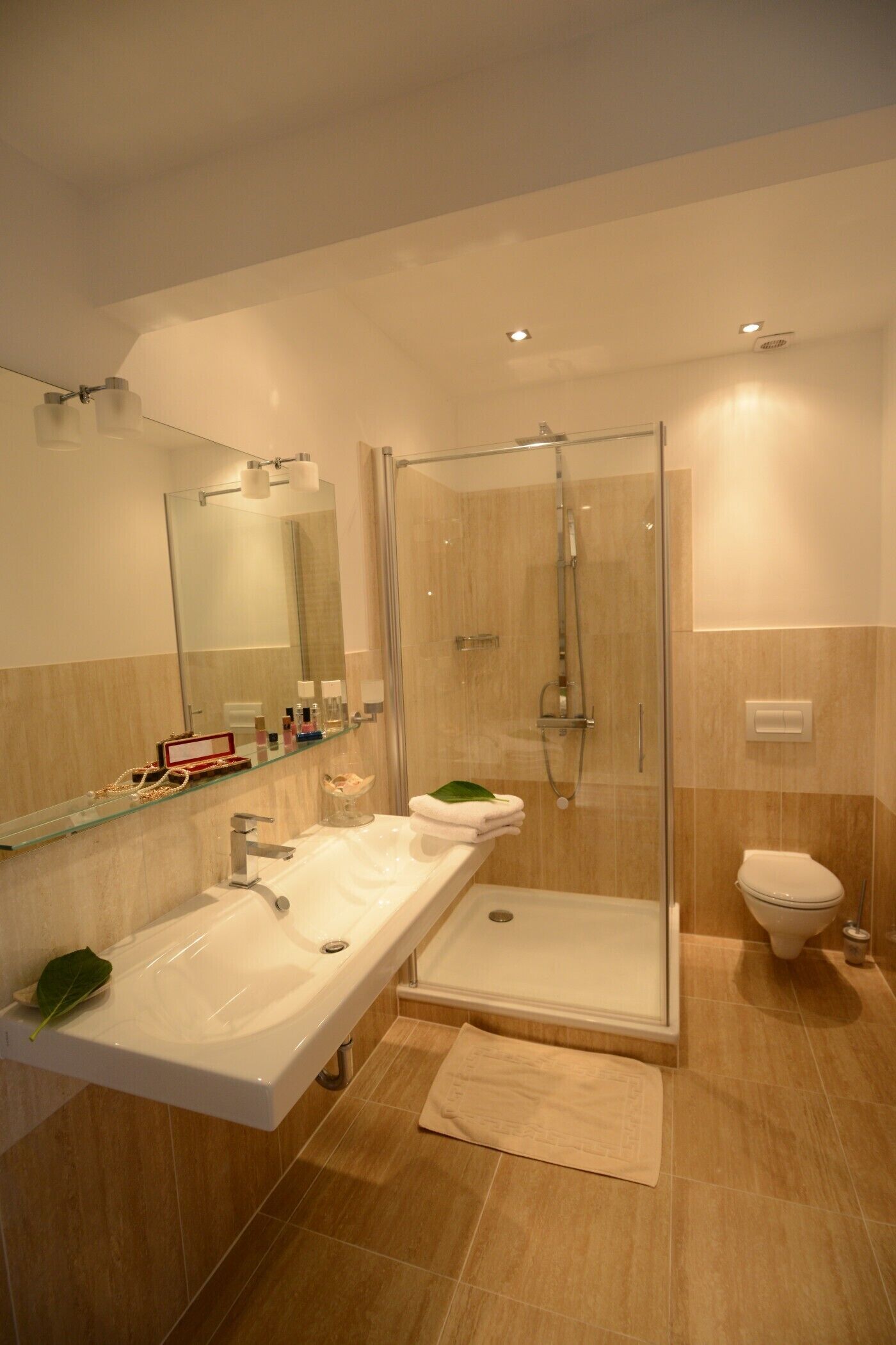 Une salle de bain moderne avec une douche à parois de verre, un meuble-lavabo à deux vasques et des toilettes.