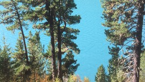 Un lago rodeado de un bosque frondoso con altos pinos.