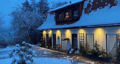 Appartement de 54 m² sur Elsterblick à Bad Elster