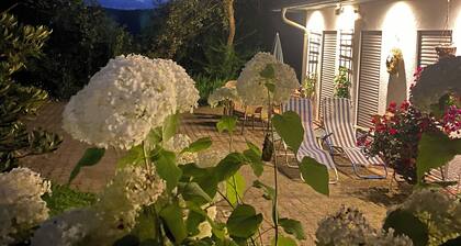 54 sqm apartment on Elsterblick in Bad Elster