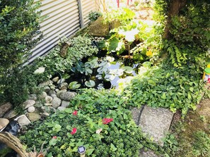 A garden with a pond, rocks, and various plants.