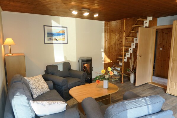 TV, fireplace, books, stereo