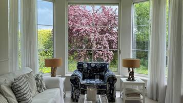 TV, lareira, livros, aparelho de som