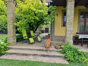 Outdoor dining - Modern furnished, air-conditioned, exclusive holiday home. (Gárdony)