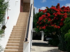 Property grounds - Two very large, bright apartment with private garden, pool and grill (Kissonerga)