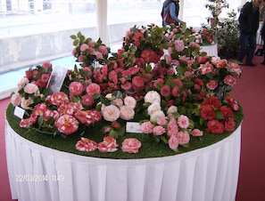 Salle de banquet