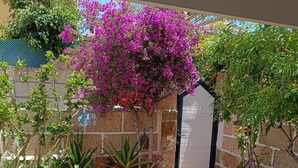 Un jardin où l’on trouve une variété de plantes, une terrasse carrelée et une porte.