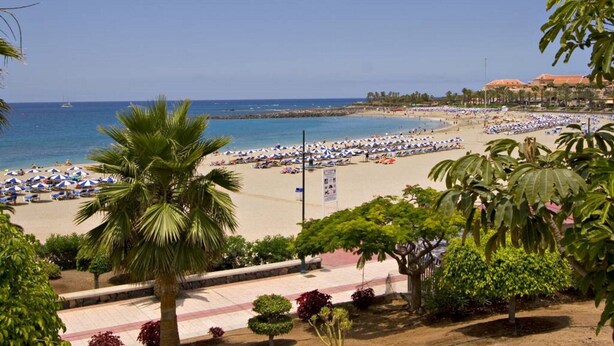 Une plage avec des parasols et des palmiers.