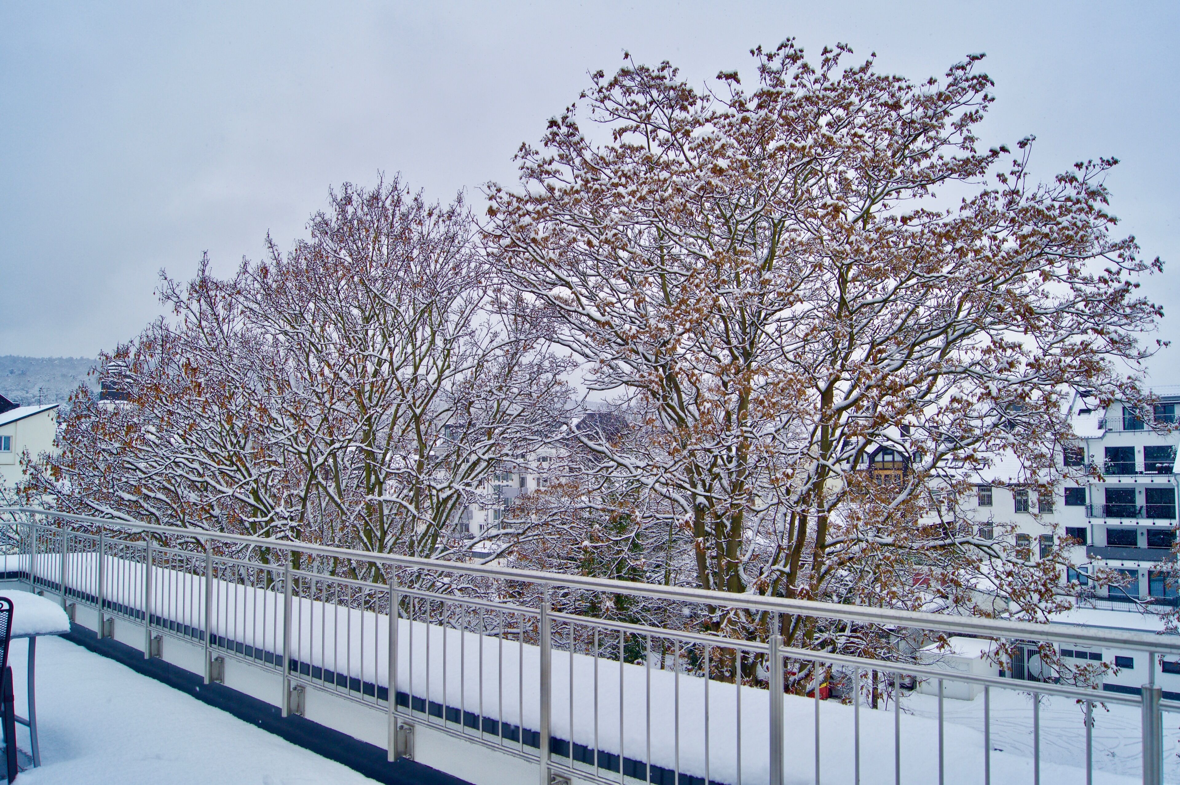 A snow-covered balcony with metal railings and bare trees.