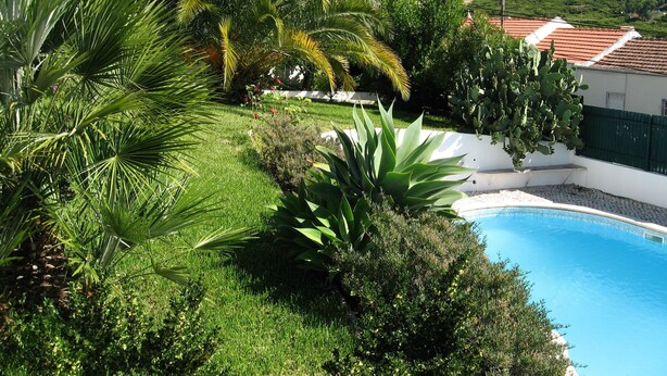 Ein Pool, umgeben von üppiger Vegetation, und ein Haus mit roten Ziegeln.
