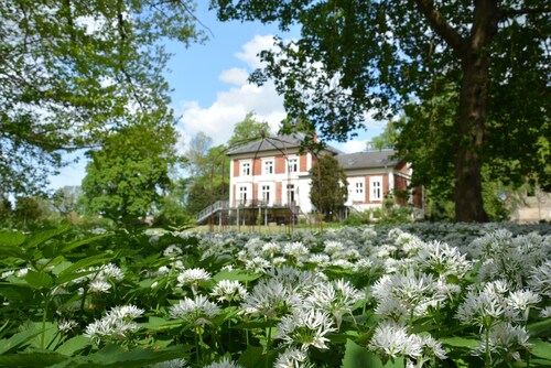 Elegante FeWo im historischen Gutshaus nahe Bad Doberan
