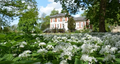Elegante FeWo im historischen Gutshaus nahe Bad Doberan