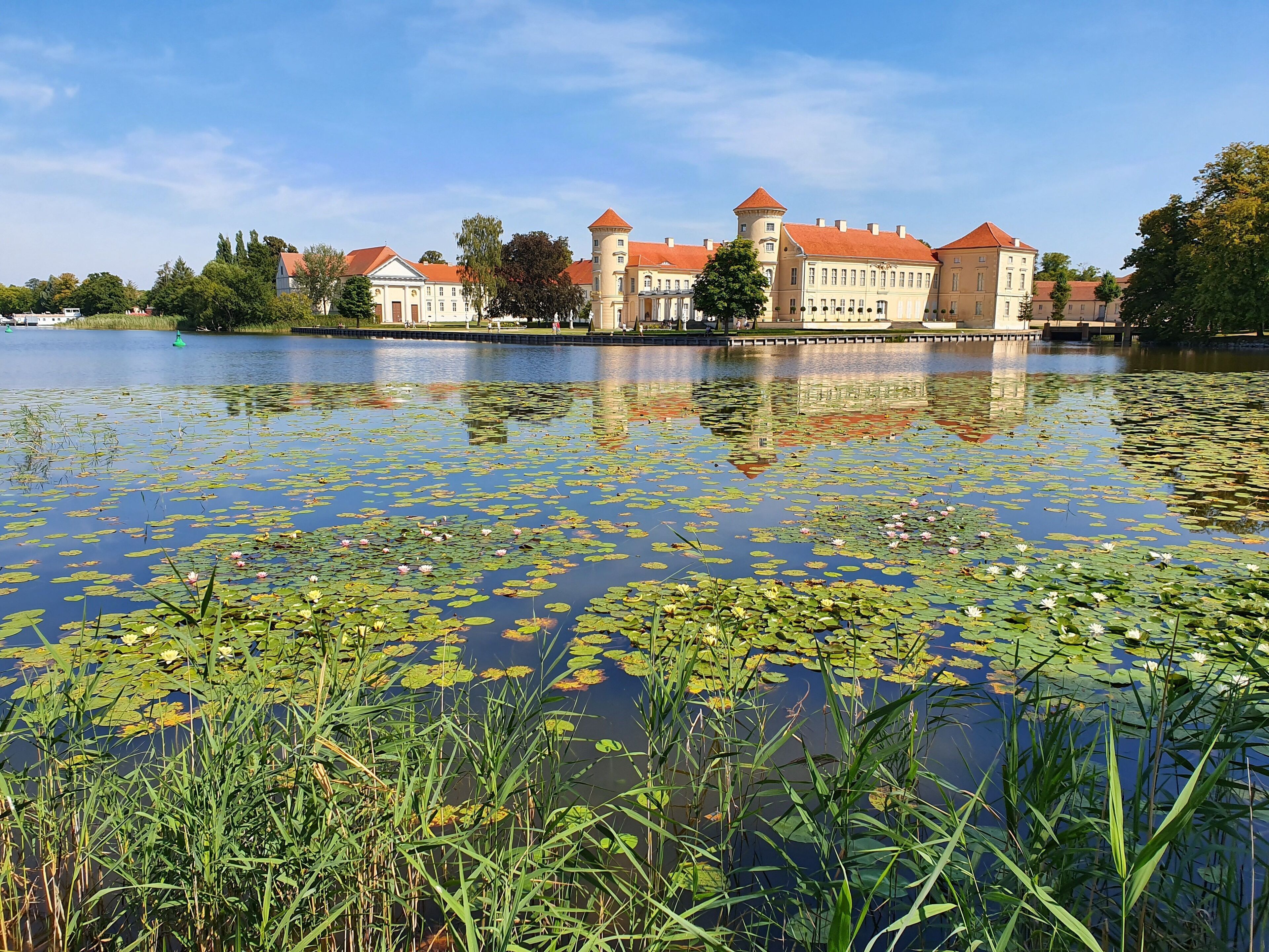 Un edificio storico con una torre, riflesso in un lago calmo pieno di ninfee.