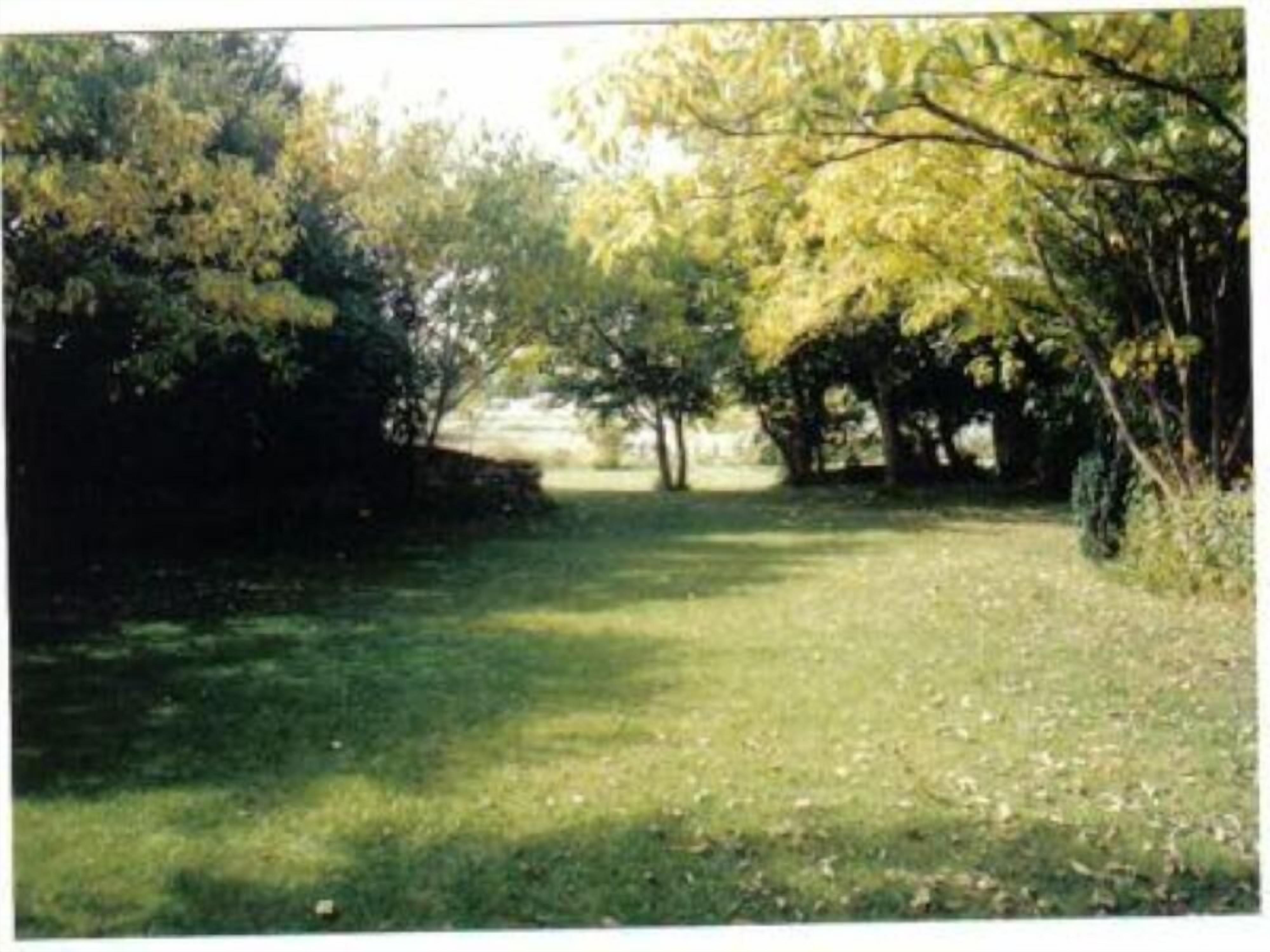 A pathway through a park with trees on either side.