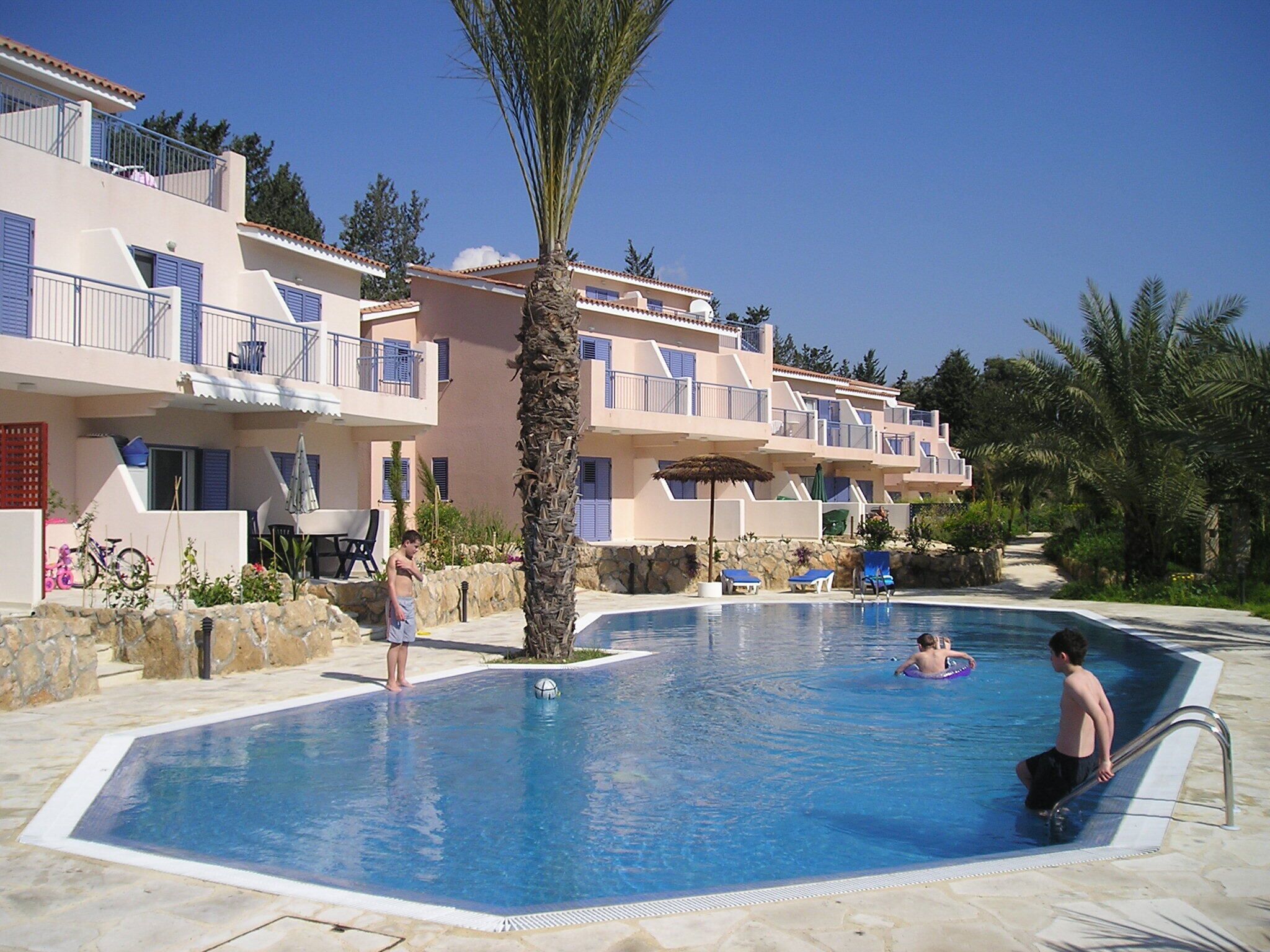 A swimming pool surrounded by a stone wall, with a palm tree in the center.