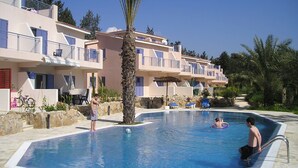 A swimming pool surrounded by a stone wall, with a palm tree in the center.