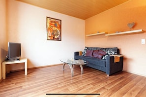 Fernseher, Bücher