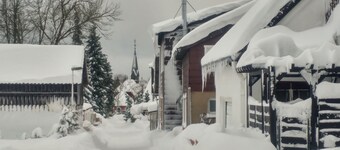 Apartment for up to 4 guests in the West Harz, dog allowed
