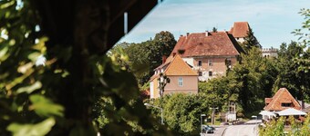 Vacation apartment Zweisamkeit with vine arbor & panoramic garden in a beautiful central location