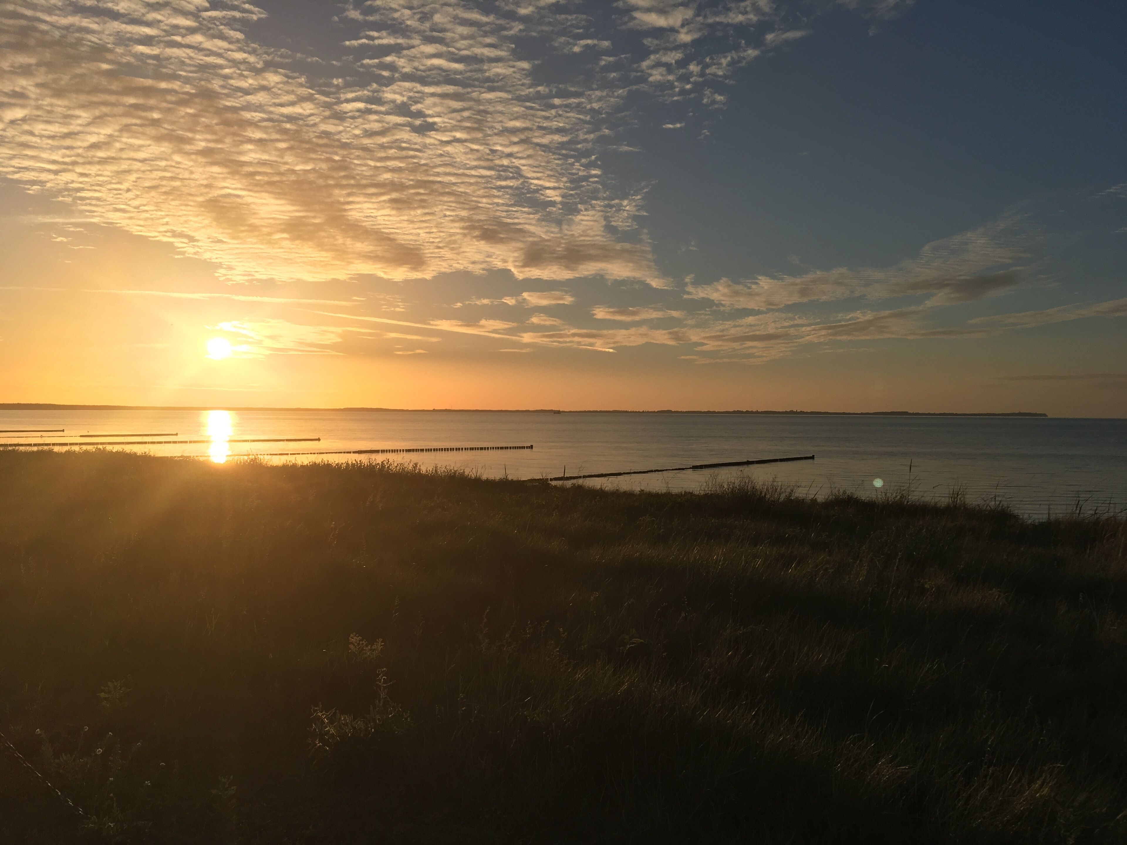 A sunset over a calm body of water with a grassy foreground and a distant shoreline.
