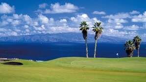 A golf course with a flag, palm trees, and a view of the ocean and mountains. - Apartment with sun terrace and panoramic sea view, 5 min. from harbor + beach (Los Gigantes)