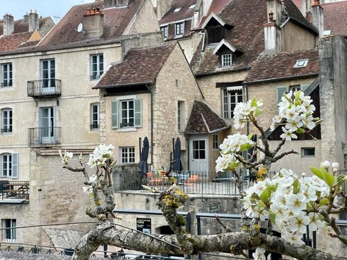 Vacation apartment, 60m2, natural stone terrace near Dole, ground-level access possible.