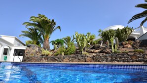 Une piscine à l’eau d’un bleu cristallin, entourée de différentes espèces de cactus et de palmiers, et bordée d’un mur de pierre.