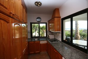 Een keuken met houten kastjes, een vaatwasser, een spoelbak en een raam met uitzicht op een palmboom en zee.