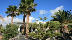 Un complexe hôtelier bordé de palmiers, avec un bâtiment en forme de dôme et un paysage rocheux.