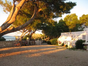 Un camino de grava que lleva a un edificio blanco con contraventanas, rodeado de árboles y vistas al mar.