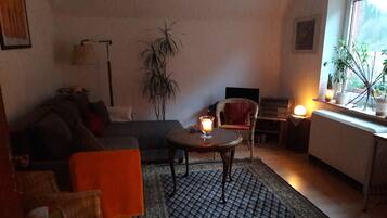 Fernseher, DVD-Player, Bücher, Musikbibliothek