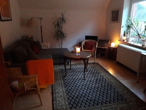 Fernseher, DVD-Player, Bücher, Musikbibliothek