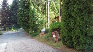 A paved pathway flanked by dense greenery and a wooden structure with a roof.